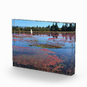 Cranberry Farm, Long Beach, Washington Fotoblock (Rechts)