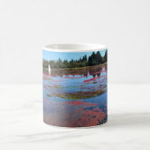 Cranberry Farm, Long Beach, Washington Kaffeetasse (Mittel)