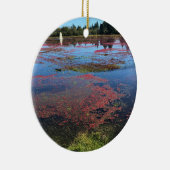 Cranberry Farm, Long Beach, Washington Keramik Ornament (Rechts)