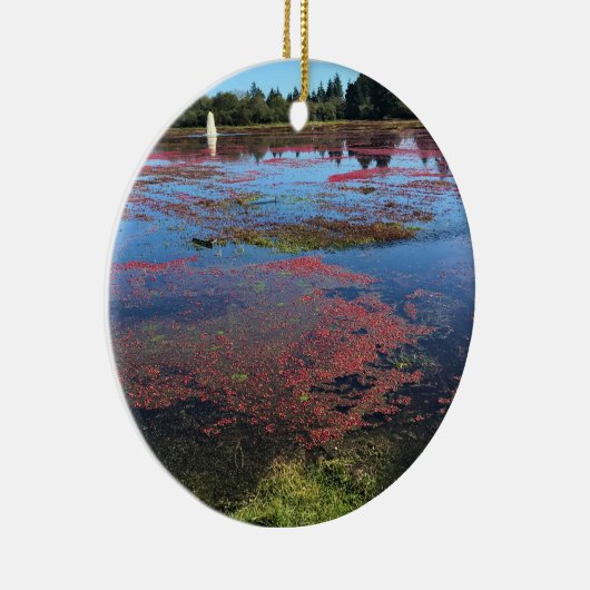 Cranberry Farm, Long Beach, Washington Keramik Ornament (Rechts)