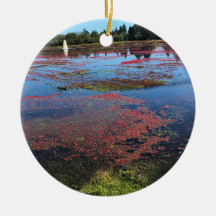 Cranberry Farm, Long Beach, Washington Keramik Ornament