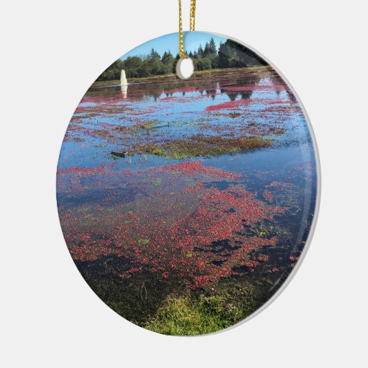 Cranberry Farm, Long Beach, Washington Keramik Ornament (Links)