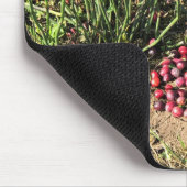 Cranberry Farm, Long Beach, Washington Mousepad (Ecke)