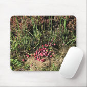 Cranberry Farm, Long Beach, Washington Mousepad (Mit Mouse)