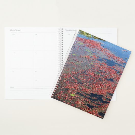 Cranberry Farm, Long Beach, Washington Planer (Anzeige)