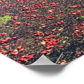 Cranberry Farm, Long Beach, Washington Poster (Ecke)