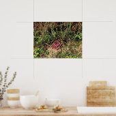 Cranberry Farm, Long Beach, Washington Poster (Küche)