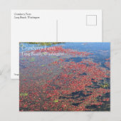 Cranberry Farm, Long Beach, Washington Postkarte (Vorne/Hinten)
