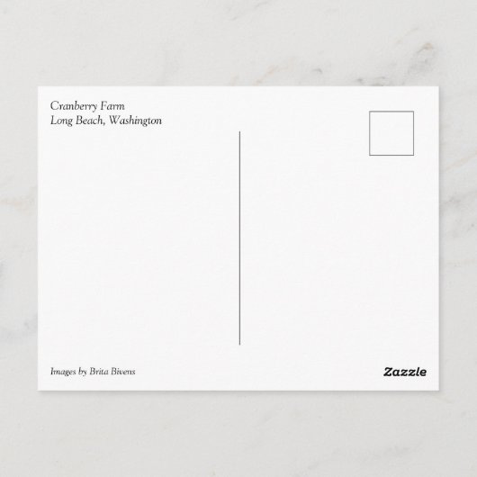 Cranberry Farm, Long Beach, Washington Postkarte (Rückseite)