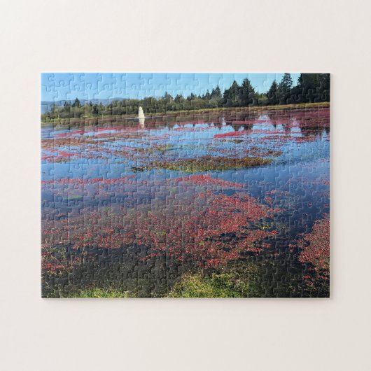 Cranberry Farm, Long Beach, Washington Puzzle (Horizontal)