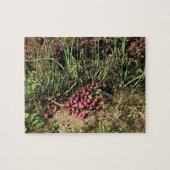 Cranberry Farm, Long Beach, Washington Puzzle (Horizontal)