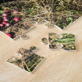 Cranberry Farm, Long Beach, Washington Puzzle (Seite)