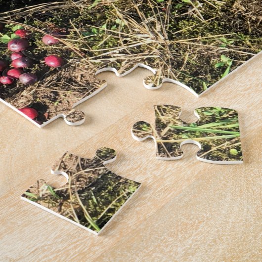 Cranberry Farm, Long Beach, Washington Puzzle (Seite)