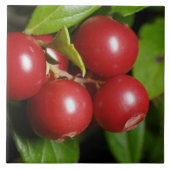 Cranberry Fliese (Vorderseite)