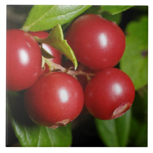 Cranberry Fliese (Vorderseite)