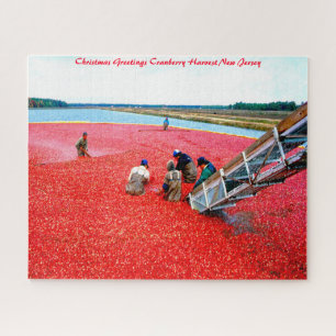 Cranberry Harvest New Jersey. Puzzle