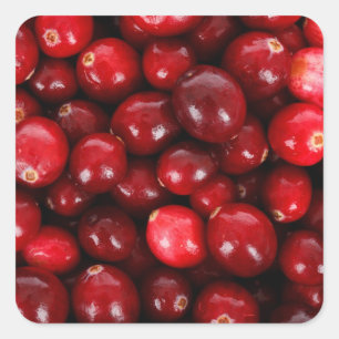 Cranberry-Hintergrund Quadratischer Aufkleber