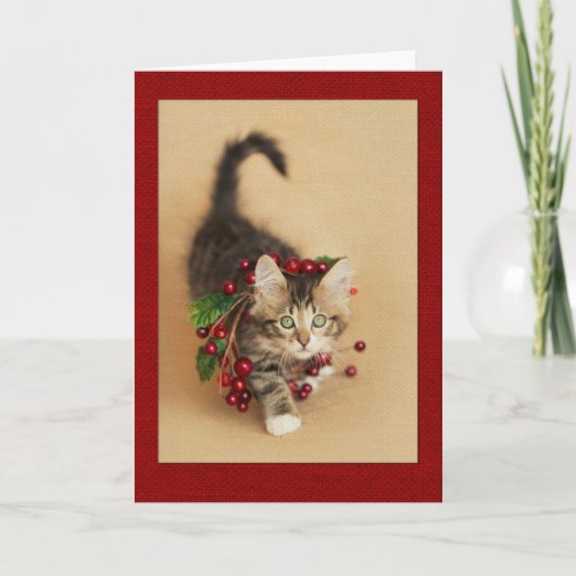 Cranberry Kitten Feiertagskarte (Vorderseite)