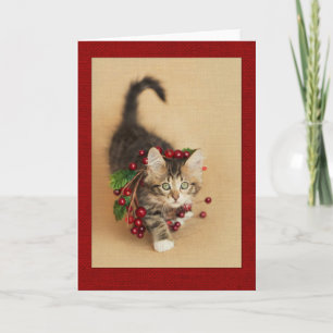 Cranberry Kitten Feiertagskarte