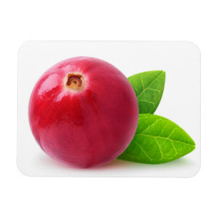 Cranberry Magnet