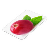 Cranberry Magnet (Linke Seite)