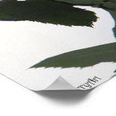 Cranberry Rose Poster 16x20 ROSE & PROSE (Ecke)