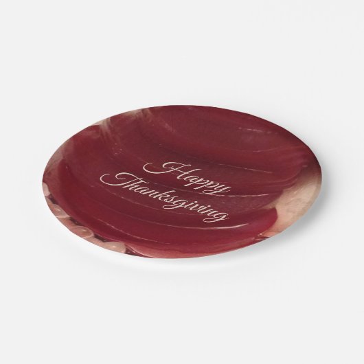 Cranberry Sauce Erntedank Pappteller (Schrägansicht)