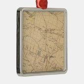 Cranberry Township Silbernes Ornament (Rechts)