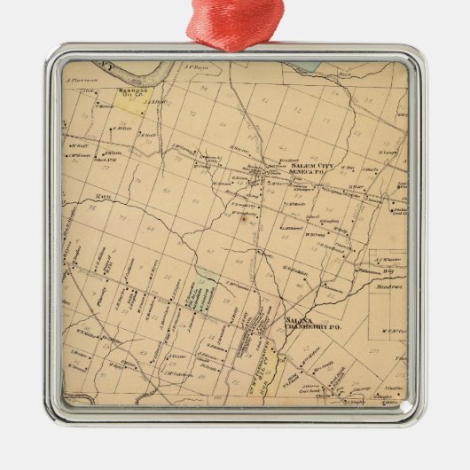 Cranberry Township Silbernes Ornament (Vorne)