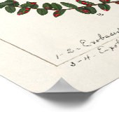 Cranberry (Vaccinium Macrocarpon) Poster (Ecke)