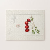 Cranberry (Vaccinium macrocarpon) Puzzle (Horizontal)