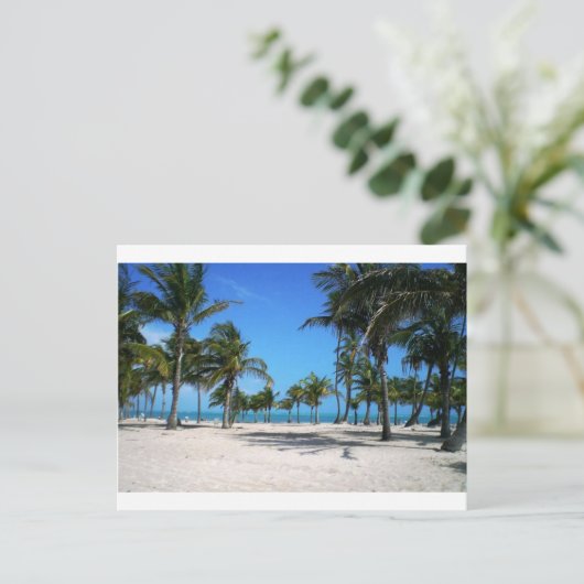 Crandon Beach Postkarte (Stehend Vorderseite)
