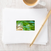 Crane am Mismaloya River 0335 Anschrift Adressaufkleber (Insitu)