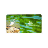 Crane am Mismaloya River 0335 Anschrift Adressaufkleber (Vorne)