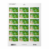 Crane am Mismaloya River 0335 Anschrift Adressaufkleber (Vorne)