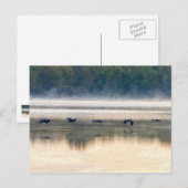 Crane Flight Painterly Postkarte (Vorne/Hinten)