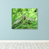 Crane Fly Canvas Print Leinwanddruck (Insitu (Holzboden))