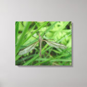 Crane Fly Canvas Print Leinwanddruck (Vorderseite)
