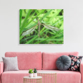 Crane Fly Canvas Print Leinwanddruck (Insitu (Wohnzimmer))