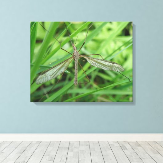Crane Fly Canvas Print Leinwanddruck (Insitu (Holzboden))