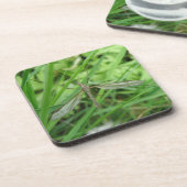 Crane Fly Cork Untersetzer (Linke Seite)