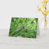 Crane Fly Grußkarte Karte (Gelbe Blume)