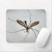Crane Fly Insect Mousepad (Mit Mouse)