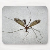 Crane Fly Insect Mousepad (Vorne)
