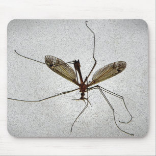 Crane Fly Insect Mousepad