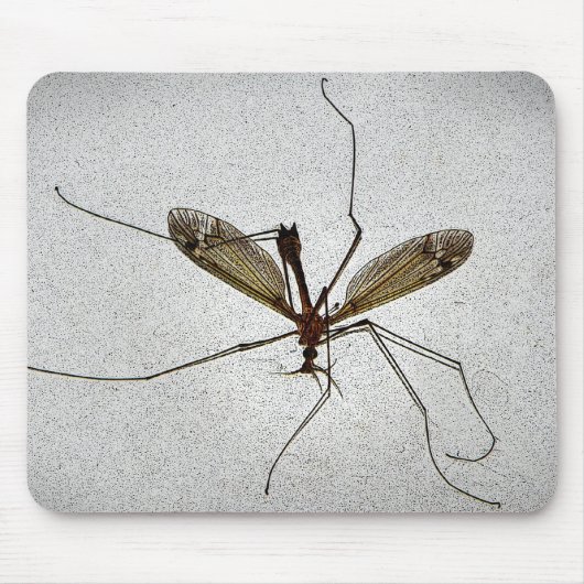 Crane Fly Insect Mousepad (Vorne)