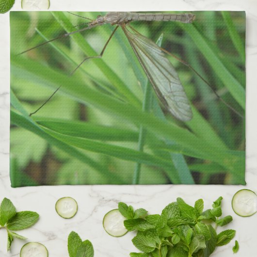Crane Fly Kitchtuch Handtuch (Gefaltet)