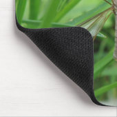 Crane Fly Mousepad (Ecke)