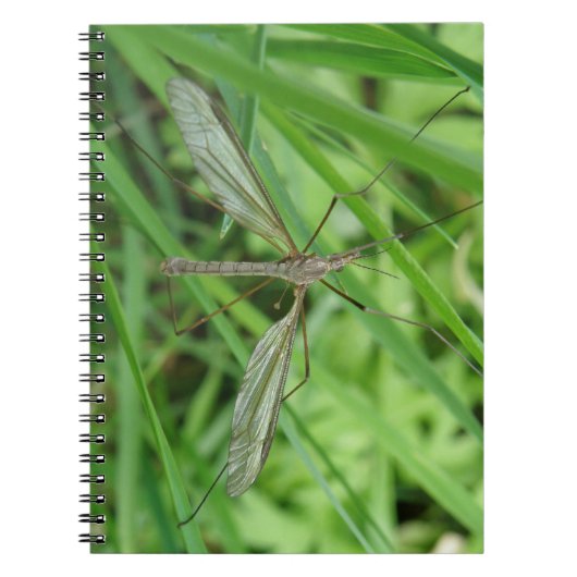 Crane Fly Notebook Notizblock (Vorderseite)