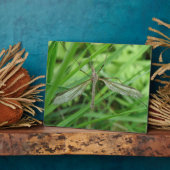 Crane Fly Plaque Fotoplatte (Seite)